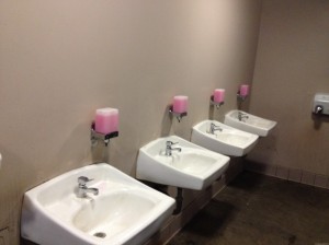 Sonoma Plaza and Sonoma City Hall bathroom restroom