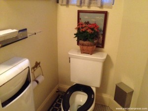 Dandelion Pub bathroom restroom
